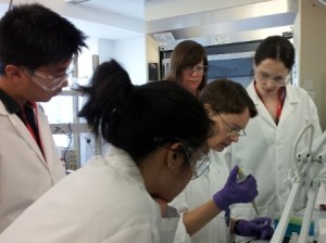 Dr. Gyna Sroga (seated) teaches assays for biochemical analysis of collagen crosslinks to (clockwise from right): Ashley Lloyd, Michelle Chin, Vinny Wang, Prof. Donnelly